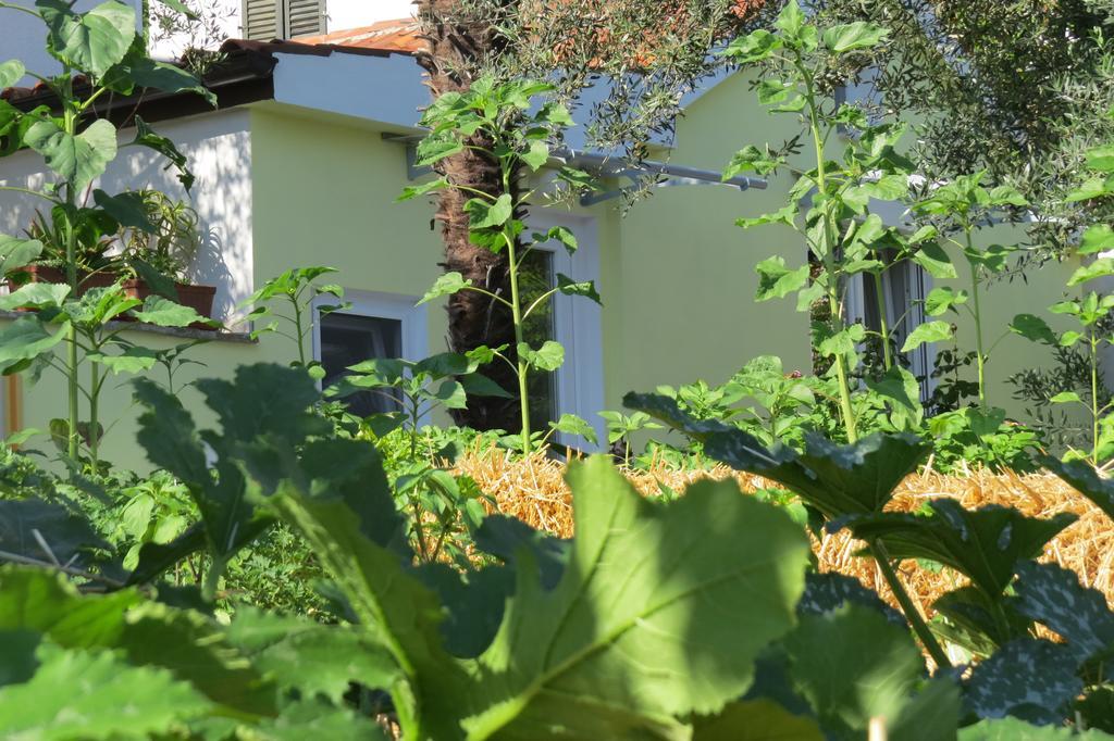 Apartment Casetta Πορτορόζ Εξωτερικό φωτογραφία